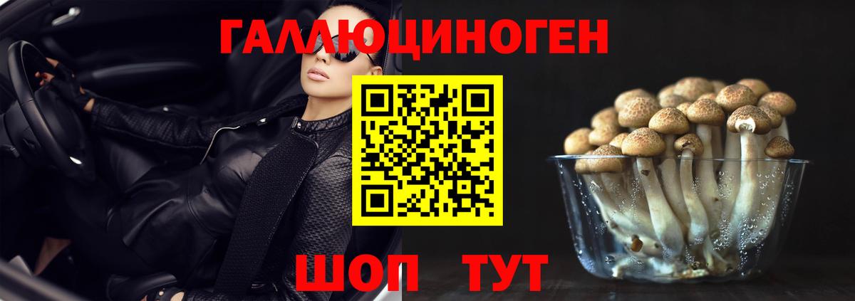 Галлюциногенные грибы GOLDEN TEACHER Химки